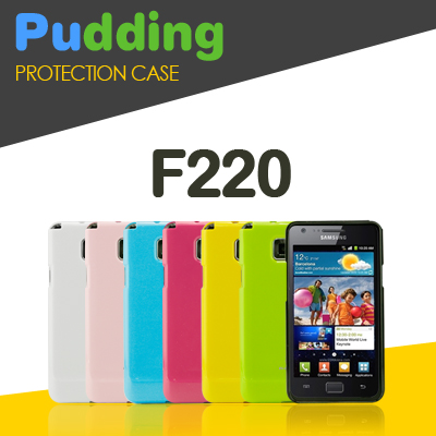 [ƼӽGK] PLEOMAX F220 Ǫ ̽