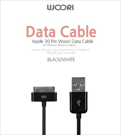 WOORI Data Cable 츮  ̺ / Apple 30 Pin